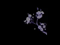 Download Lagu anna of the north - lovers (slowed + reverb) Download Lagu anna of the north - lovers (slowed + reverb)