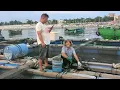 Download Lagu 小池去挖青蟹没啥货，直接过去李排主渔排撸青口，摘一大桶满满