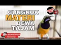Download Lagu #1 🔴Masteran Juwara Cucak Cungkok Gacor Tembakan Pedas Paling VIRAL 2023❗️