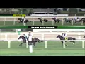 Tampa Bay Downs Live Stream