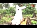 Download Lagu MAPOUKA \u0026 ZOUGLOU  VIDEO MIX BY WILLY MIX  VOL 14