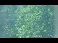 [플레이리스트]  꿈속의 늦여름🌿 | 작업을 할 때 듣는 음악