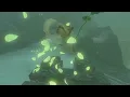 Korok Seed 280 Hebra West Summit North The Legend of Zelda Tears of the Kingdom