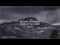 Michael Kiwanuka - Cold Little Heart (lyrics)