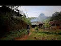 Download Lagu Hidup di desa, Menginap di rumah tengah hutan hanya ada 2 rumah