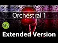 Focus Support for AD Brains Orchestral Think Clearer Faster
