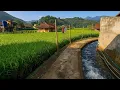 Download Lagu Air Bersih Mengalir Pinggir Rumah‼️ Suasana Alam Kampung Tersubur Di Tengah Alam Indah Sumedang