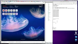 Python Battleship Refactor part 13