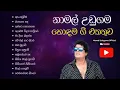 Download Lagu Namal Udugama best songs collection | නාමල් උඩුගම හොඳම ගීත එකතුව | Sinhala Songs Collection
