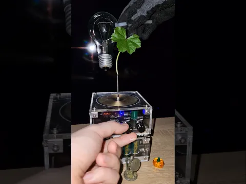 βοΈ Music Tesla Coil #experiment #leaf #plant