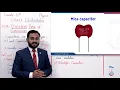 Class 10 - Physics