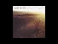Saves The Day - At Your Funeral