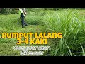 Lagu BEGINI CARANYA potong rumput lalang yang tebal|Overgrown lawn/yard.