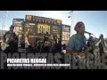 Download Lagu WAR/NO MORE TROUBLE - BOB MARLEY cover PICARETAS REGGAE (Arrecife en Vivo 2015)