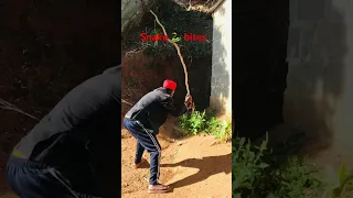 Kicheche Comedy Trending Snake Bites 