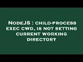 NodeJS child-process exec cwd is not setting current working directory