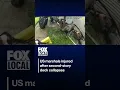 US marshals injured after deck collapses while serving warrant