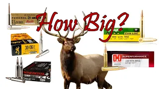 How Big a Rifle for Elk