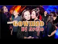 Download Lagu Lagu nias Gowirio Dj Aveto