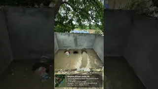                     دندنها