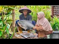 Download Lagu Masak Ikan Bawal Jumbo dan Metik Buah Labu | Kolak Labu Kacang Ijo, Bawal Asam Manis, Gabus Labu