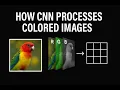 Understanding How CNN Reads Color Images Convolutional Neural Networks Deep Learning