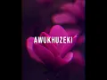 Awukhuzeki  (DJ Stokie, Omit ST,  Sobzeen, Zee_nhle ) - Melody