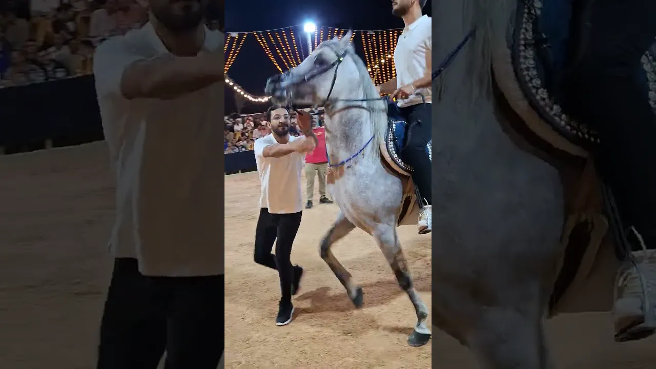 اجمل خيل رقص