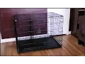 Dog Crate Setup