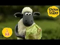 Download Lagu Shaun the Sheep Series 1 🐑 | 1 HOUR COMPILATION ⏰ | Shaun the Sheep \u0026 Friends