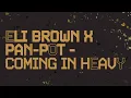 Eli Brown x Pan-Pot - Coming In Heavy