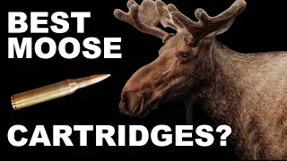 best moose hunting cartridges