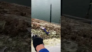 Day 1 on a Free Craigslist Sailboat. #shorts #sandiego #missionbay #boatlife