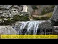 Backsound Nasyid Arabic No music No Copyright