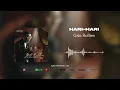 Gito Rollies - Hari-Hari (Official Audio)