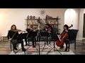 Prodipe Quartet 405 Micro RSL Lanen