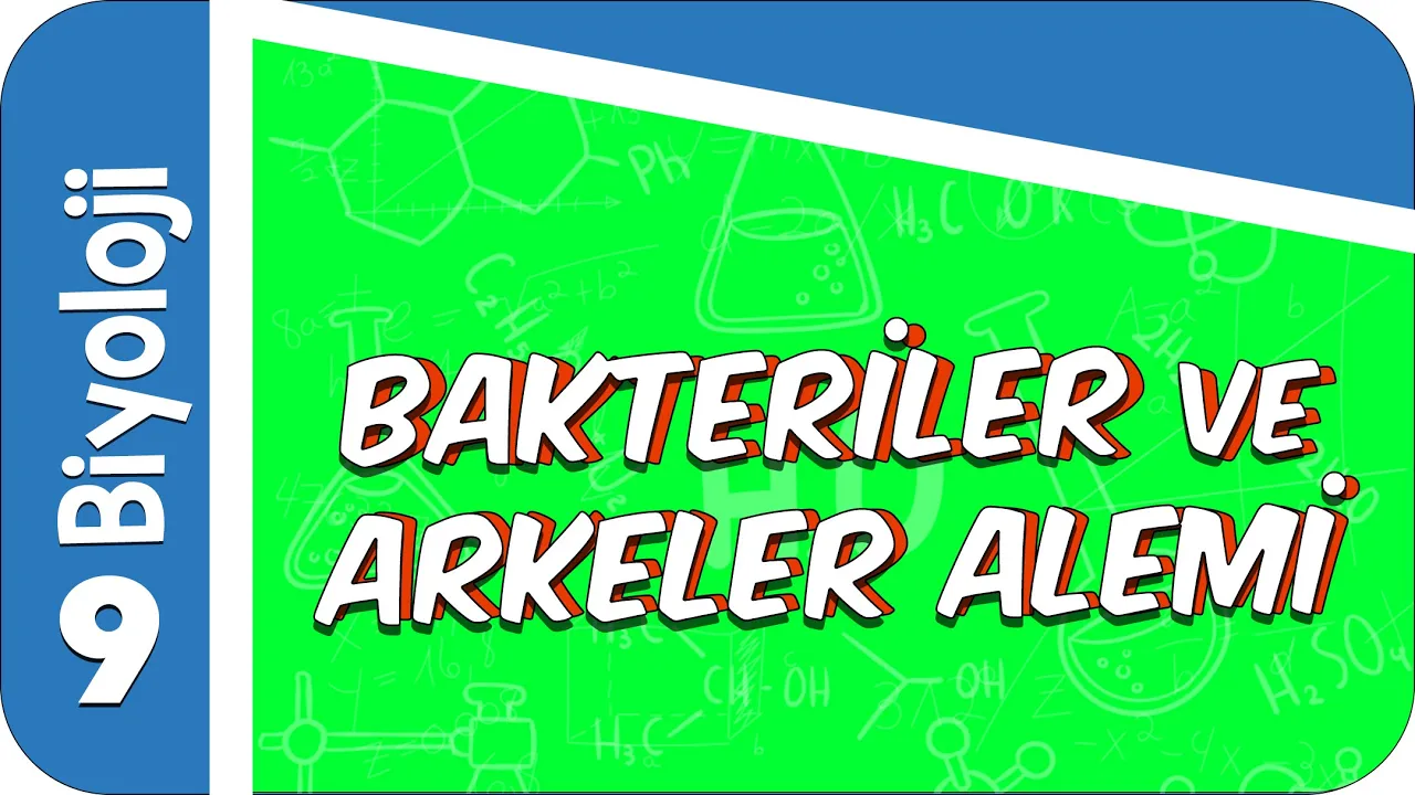 9. Sınıf Biyoloji: Bakteriler ve Arkeler Alemi  #2022