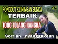 Download Lagu PONGDUT KLININGAN SUNDA-ALBUM LAGU SUNDA LAWAS - TONG TOLANG NANGKA