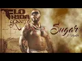 Download Lagu Flo Rida - Sugar (feat. Wynter) [Official Audio]