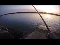 Download Lagu Pesca in Mare - Bolognese Kolpo \