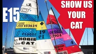 Show us your cat! Episode 15 USA, Canada, Brazil, Portugal, UK and Russia