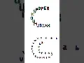 Alphabet Lore Snakes transform c C