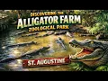 St Augustine Alligator Farm Zoological Park