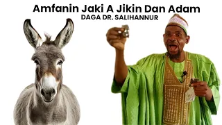 dr salihannur amfanin jaki a jikin dan adam