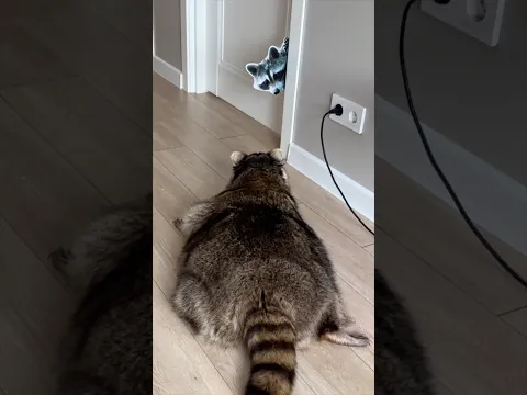 Это кто там за углом🤣🤣