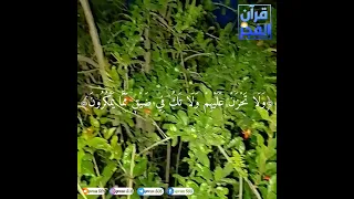 واصبر وما صبرك إله بالله 