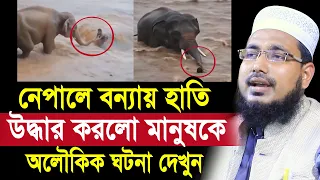 নেপালে বন্যায় হাতি উদ্ধার করলো মানুষকে ! অ/লৌকিক ঘটনা দেখুন Mawlana Abdus Salam Juktibadi