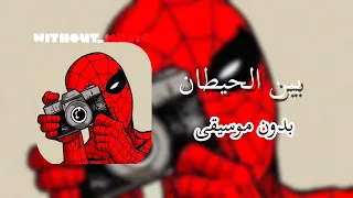 بين الحيطان رامي صبري بدون موسيقى  دندنها