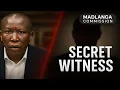 Lagu Malema's Explosive Admission Raises 3 BIG RED FLAGS