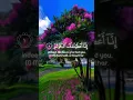Download Lagu Surah Al Kusar سورہ الکوثر  #quranchapter #surhmulk #اكسبلور #duet #quranverse #surahkahaf #حالات_و